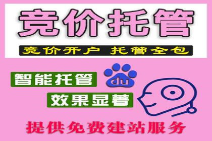 成功案例：网络推广与竞价广告的完美结合